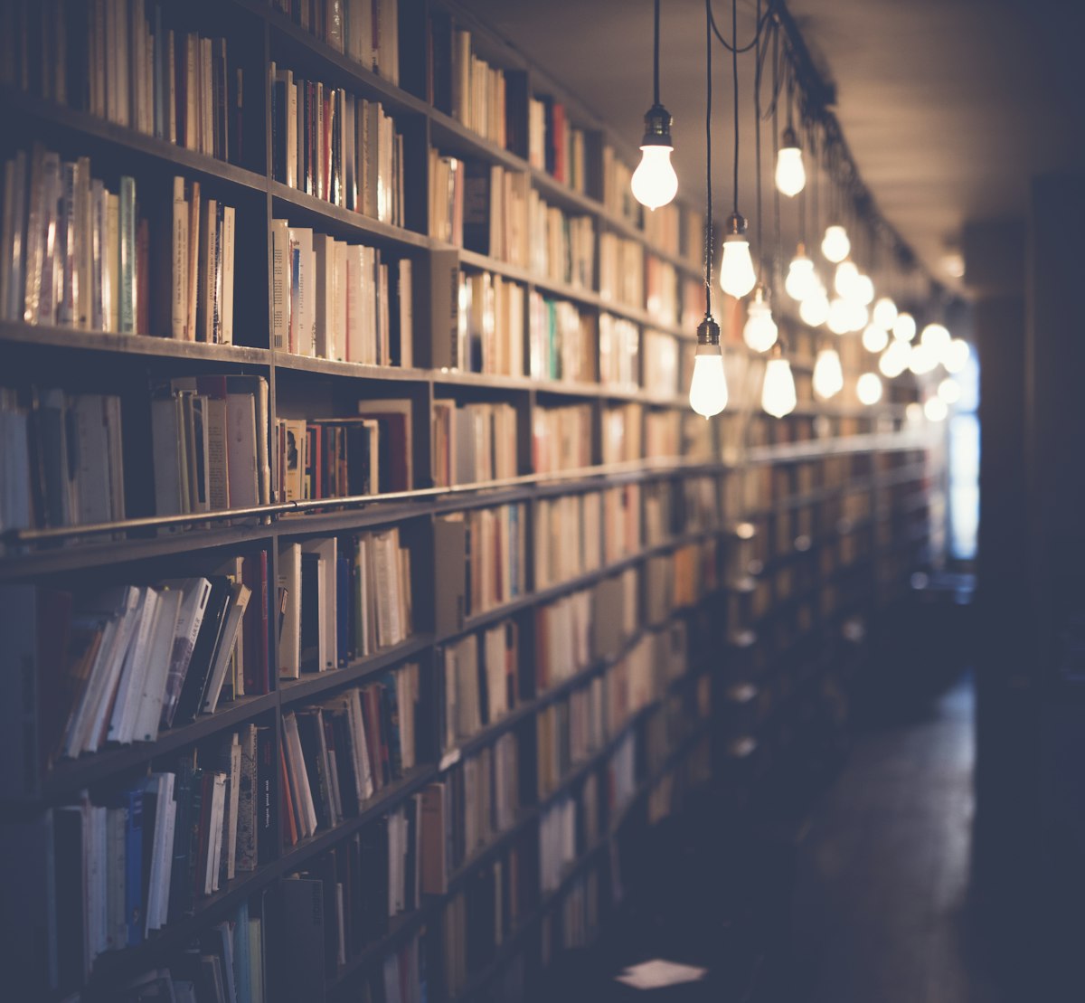 Rayonnage de manuels d'analyse et de probabilités dans une bibliothèque universitaire